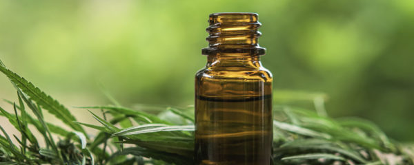 Consommer l’huile de CBD