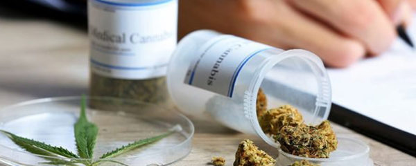 CBD pour usage médical