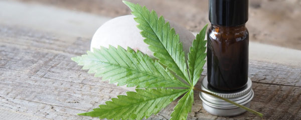 Huile CBD