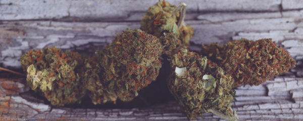 CBD à fumer